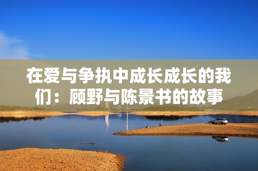 在爱与争执中成长成长的我们：顾野与陈景书的故事