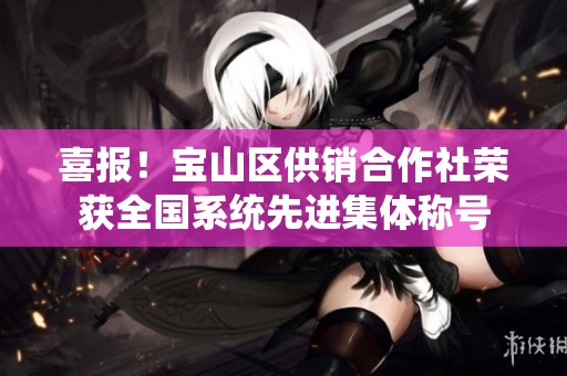 喜报！宝山区供销合作社荣获全国系统先进集体称号