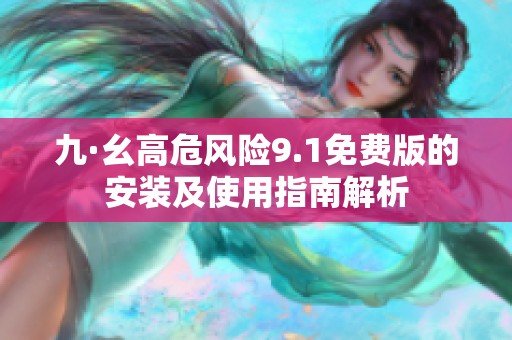 九·幺高危风险9.1免费版的安装及使用指南解析