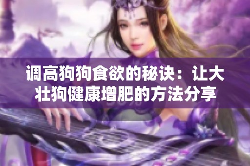 调高狗狗食欲的秘诀：让大壮狗健康增肥的方法分享