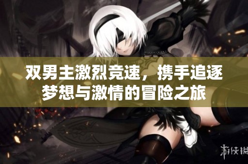 双男主激烈竞速，携手追逐梦想与激情的冒险之旅