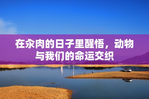 在汆肉的日子里醒悟，动物与我们的命运交织