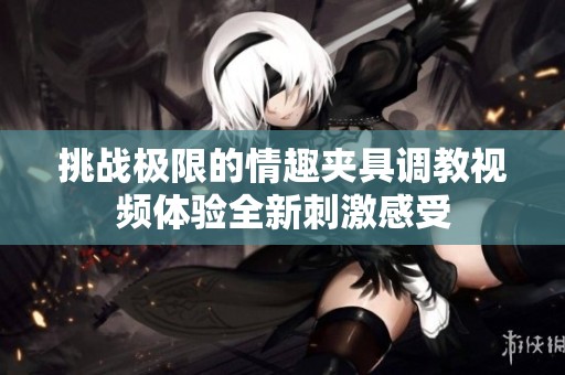 挑战极限的情趣夹具调教视频体验全新刺激感受