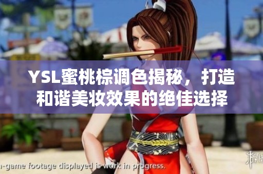YSL蜜桃棕调色揭秘，打造和谐美妆效果的绝佳选择