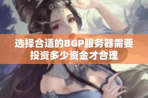 选择合适的BGP服务器需要投资多少资金才合理