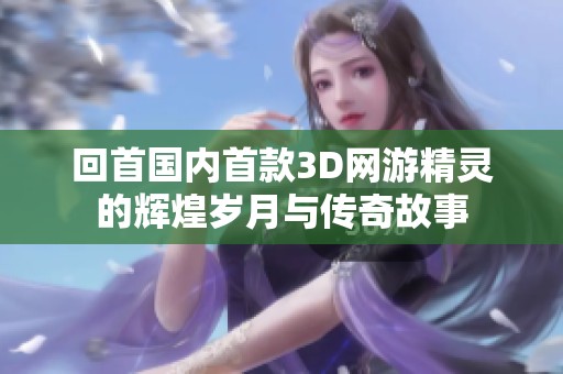 回首国内首款3D网游精灵的辉煌岁月与传奇故事