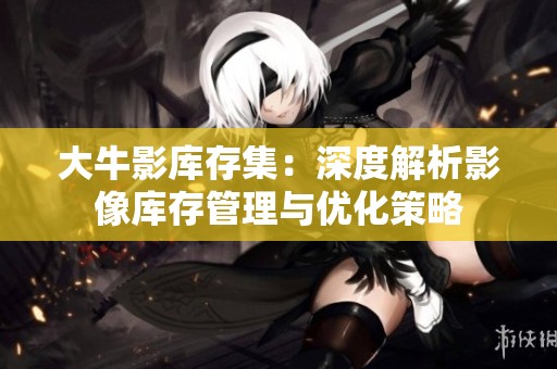 大牛影库存集：深度解析影像库存管理与优化策略