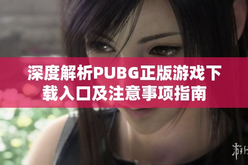 深度解析PUBG正版游戏下载入口及注意事项指南
