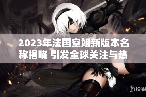 2023年法国空姐新版本名称揭晓 引发全球关注与热议