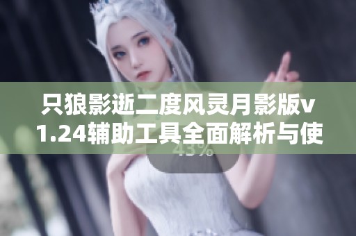 只狼影逝二度风灵月影版v1.24辅助工具全面解析与使用指南