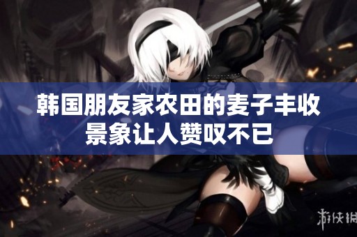 韩国朋友家农田的麦子丰收景象让人赞叹不已