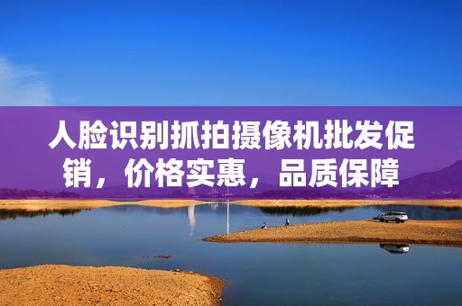 人脸识别抓拍摄像机批发促销，价格实惠，品质保障