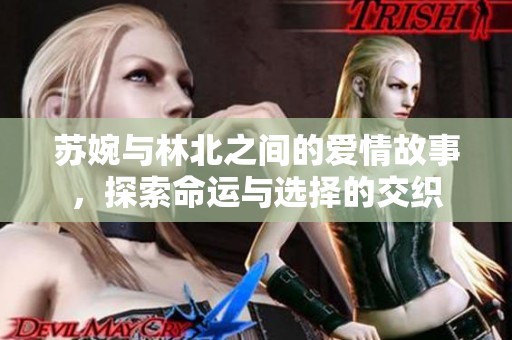 苏婉与林北之间的爱情故事，探索命运与选择的交织