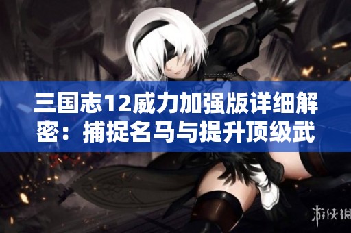 三国志12威力加强版详细解密：捕捉名马与提升顶级武将的策略技巧