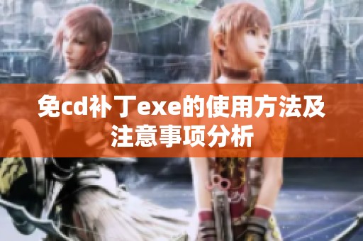 免cd补丁exe的使用方法及注意事项分析