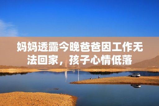 妈妈透露今晚爸爸因工作无法回家，孩子心情低落
