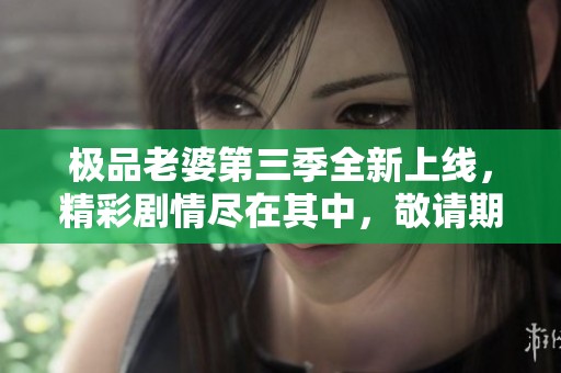 极品老婆第三季全新上线，精彩剧情尽在其中，敬请期待！