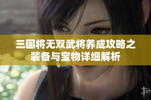 三国将无双武将养成攻略之装备与宝物详细解析