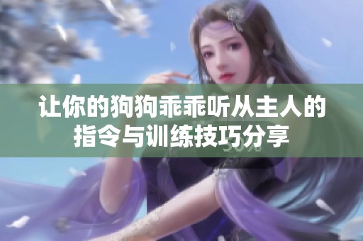 让你的狗狗乖乖听从主人的指令与训练技巧分享