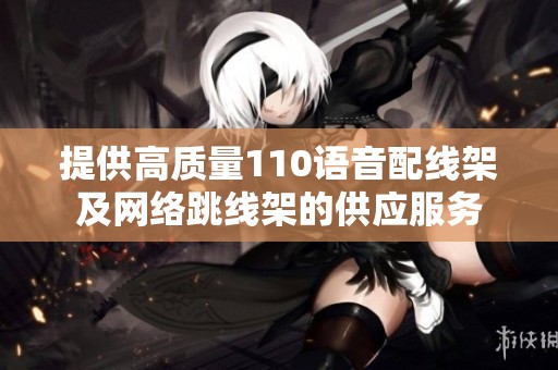 提供高质量110语音配线架及网络跳线架的供应服务