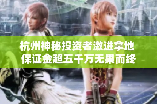杭州神秘投资者激进拿地 保证金超五千万无果而终