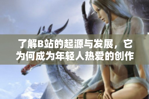 了解B站的起源与发展，它为何成为年轻人热爱的创作平台