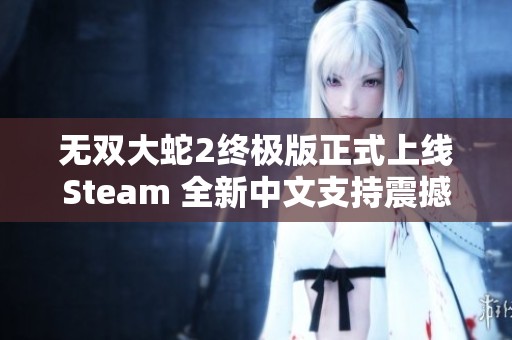 无双大蛇2终极版正式上线Steam 全新中文支持震撼发布