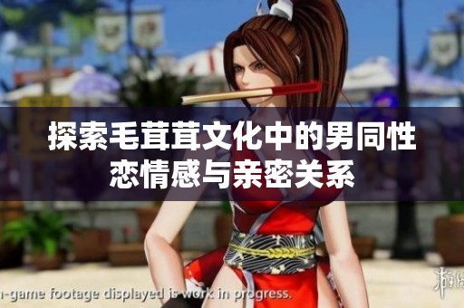 探索毛茸茸文化中的男同性恋情感与亲密关系