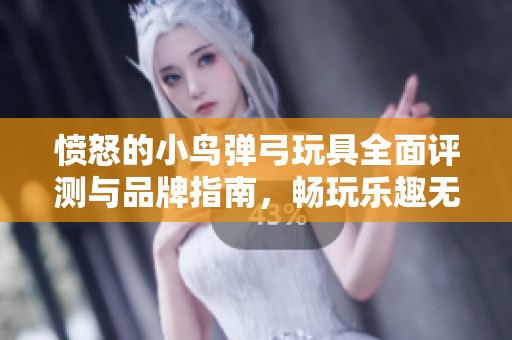 愤怒的小鸟弹弓玩具全面评测与品牌指南，畅玩乐趣无穷