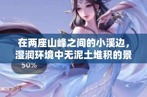 在两座山峰之间的小溪边，湿润环境中无泥土堆积的景象