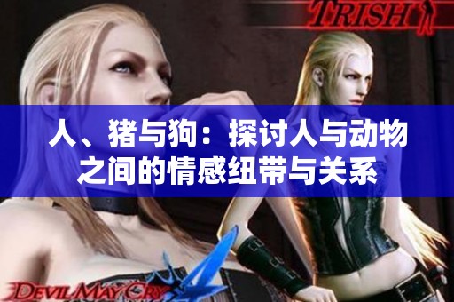 人、猪与狗：探讨人与动物之间的情感纽带与关系