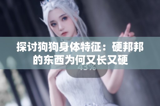 探讨狗狗身体特征：硬邦邦的东西为何又长又硬