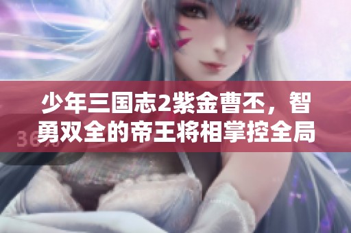 少年三国志2紫金曹丕，智勇双全的帝王将相掌控全局