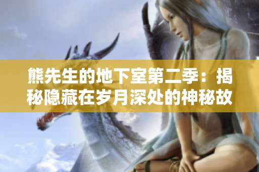 熊先生的地下室第二季：揭秘隐藏在岁月深处的神秘故事