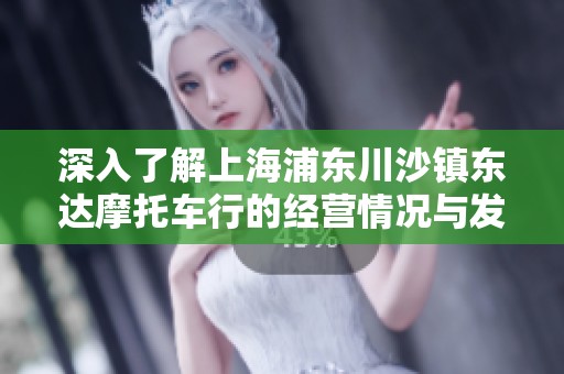 深入了解上海浦东川沙镇东达摩托车行的经营情况与发展潜力