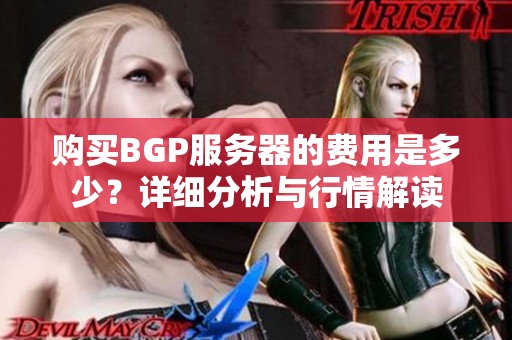 购买BGP服务器的费用是多少？详细分析与行情解读