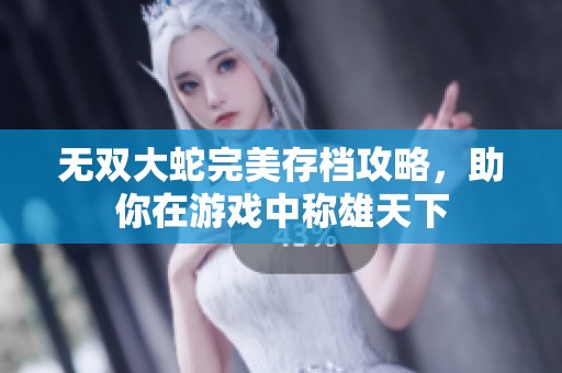 无双大蛇完美存档攻略，助你在游戏中称雄天下