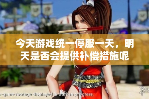 今天游戏统一停服一天，明天是否会提供补偿措施呢