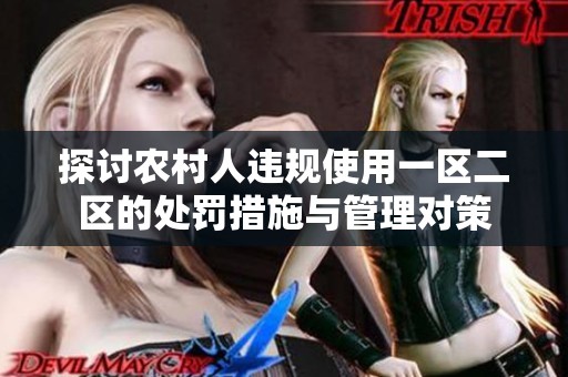 探讨农村人违规使用一区二区的处罚措施与管理对策