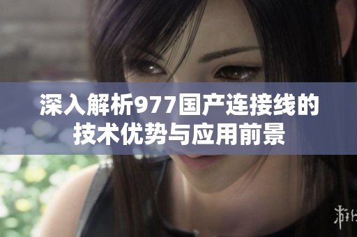 深入解析977国产连接线的技术优势与应用前景