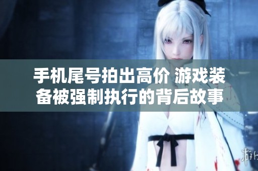 手机尾号拍出高价 游戏装备被强制执行的背后故事