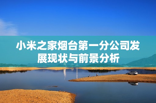 小米之家烟台第一分公司发展现状与前景分析
