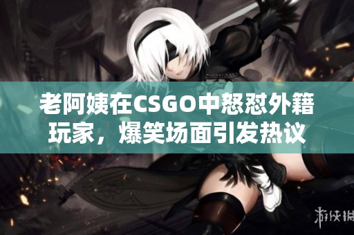 老阿姨在CSGO中怒怼外籍玩家，爆笑场面引发热议