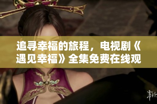 追寻幸福的旅程，电视剧《遇见幸福》全集免费在线观看