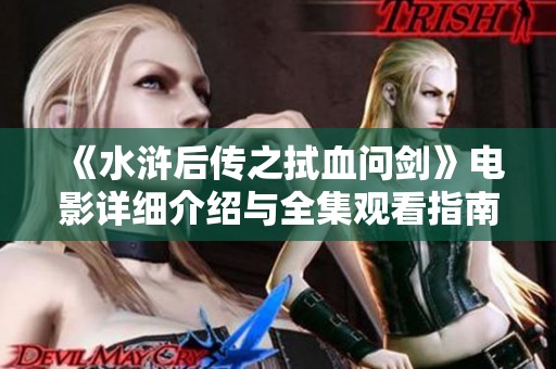 《水浒后传之拭血问剑》电影详细介绍与全集观看指南