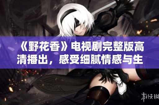 《野花香》电视剧完整版高清播出，感受细腻情感与生活的交织