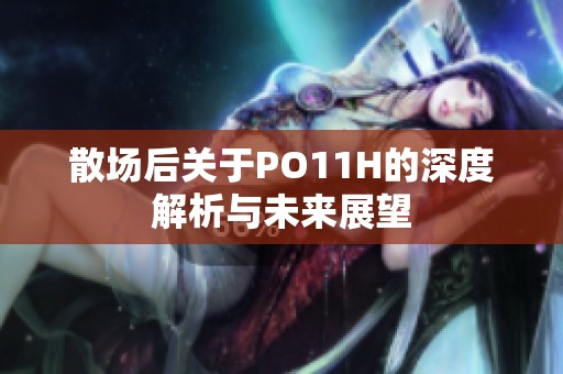 散场后关于PO11H的深度解析与未来展望
