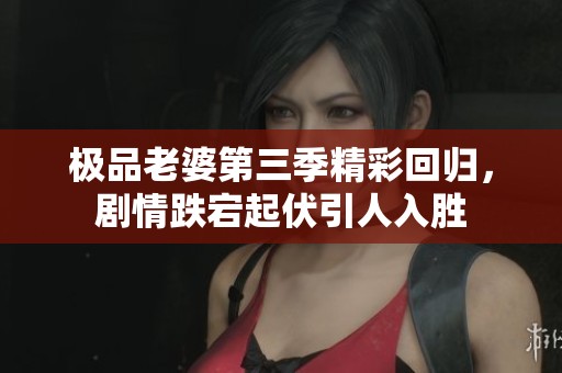 极品老婆第三季精彩回归，剧情跌宕起伏引人入胜