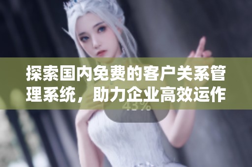 探索国内免费的客户关系管理系统，助力企业高效运作与发展