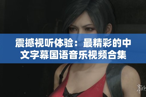 震撼视听体验：最精彩的中文字幕国语音乐视频合集